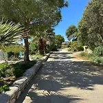 Apartman Terra Oliva