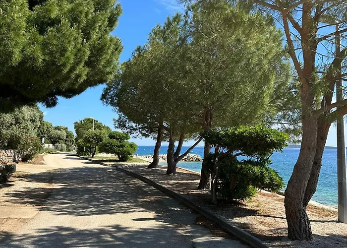 Apartman Terra Oliva *