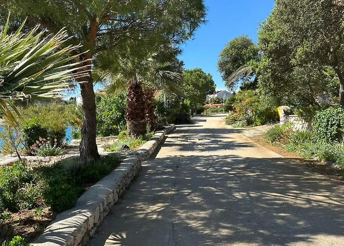 Apartman Terra Oliva